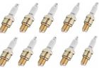 1021760001 Ngk Pack Of 10