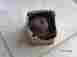193-81110-10-00 Yamaha 200cc Twin Stator Assy