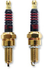 2103-0359 Drag Specialties Spark Plug