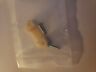 29954-71 Alternator Nylon Retainer Plug Oem Harley Davidson