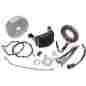 Ce-63t 3-phase Cycle Electric Inc 38 Amp Charging Kit For 2001-06 Harley Fxst Flst