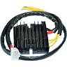 30-502 30502 Ricks Motorsport Electric