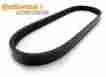 4pk611elas Continental Contitech Alternator Belt Bmw R Oilhead Hexhead 592mm 12 31 7 681 841