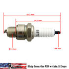 745560930595 Unbranded New Spark Plug For Stroke Bicycle Motorized