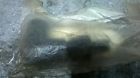 8dg-82370-00-00 Yamaha New Genuine Spark