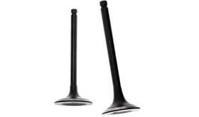 73536i Bmp 315674905910 Intake Exhaust Valve For Champion Inverter Generator Model#
