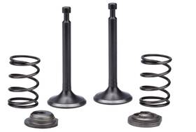 Tg-7500 Bmp 459933895168 Intake Exhaust Valve Spring For Titan 7500 Watts Tg7500 Generator