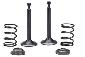 Ig3500e Bmp 472849420873 Intake Exhaust Valve Spring For Echo Bear Cat 3500 Watts Generator