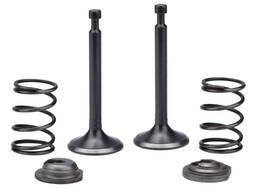 Xp9000ih Bmp 950991556362 Intake Exhaust Valve Spring For Duromax