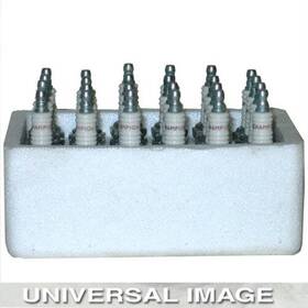 Champion 037551790180 Spark Plug 24