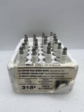 Rc12mc4 Champion 318s Spark Plugs Shop Pack Of 22