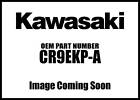 Cr9ekp-a Kawasaki Ninja Spark Plug New Oem 718721974721