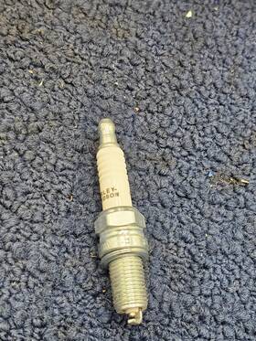 Harley Davidson 32369-04x Qty 4 Spark Plugs For Sportster 1986-2022