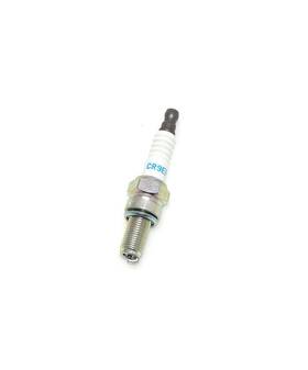 Ngk Spark Plugs 41-6955 6955 Cr9eb Standard Plug