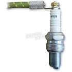 000338 Plug - Nut Lowbrow Spark Customs Pair Terminal Brass