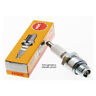 N5221061 R216-10 Ngk Candle Ignition 087295174524