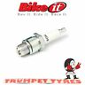 Spkmar10aj Ngk Ducati Evo Standard Spark Plug Genuine Eo Quality