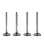 4X Exhaust Valve For Vw Audi Seat Skoda 1.9 2.0 Tdi 038109611E Bls Bxe Bkc. Fixed Price $48.82.