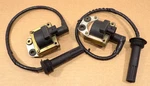 Ignition Coils Plug Wires Ducati 996 748 916 Sps 67110011A 67110021A. Fixed Price $89.99.