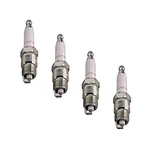 Champion RC14YC Pack Of Spark Plugs. Fixed Price $16.00.