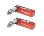 Genuine Oem Champion Part # RJ17LM; Spark Plug 2 Pack. Fixed Price $12.99.