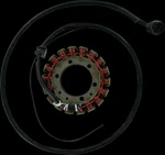 Ricks Alternator Stator Generator Kawasaki Ninja ZX12R 00-01. Fixed Price $211.95.