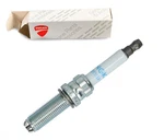 Ducati Spark Plug X1 LMDR10A-JS Panigale V4 Streetfighter 67040511A Genuine. Fixed Price $32.17.