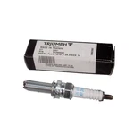 Triumph Tiger 1200 And Speed Triple Replacement Spark Plugs- T1296501. Fixed Price $24.42.