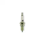 Accel Y2418P Spark Plugs - Platinum Twin Cam .040 In. Gap Pack. Fixed Price $38.43.