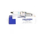 Triumph Tiger Sport And Speed Triple Oem Replacement Iridium Spark Plugs- T12951. Fixed Price $20.04.