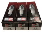 Pcs Champion Copper Plus Spark Plugs 318 RC12MC4. Fixed Price $7.00.