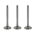 3X Exhaust Valve For Vw Audi Seat Skoda 1.4 1.9 2.0 2.5 Tdi 038109611E. Fixed Price $48.82.