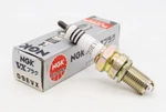 Ngk Spark Plug Pn D9EVX. Fixed Price $5.95.