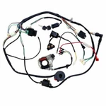 Wiring Harness Stator For 50CC -125CC Quad Atv Pit Trail Bike Go Kart Coolster. Fixed Price $79.08.