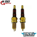 Drag Specialties 2103-0576 Iridium Spark Plugs For Indian Chief 14-23. Fixed Price $33.87.