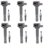 Denso Ignition Coil Ngk Iridium Spark Plugs Kit For Honda Pilot 3.5 V6. Fixed Price $467.95.