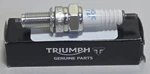 New 1994-2020 Genuine Triumph Speed Triple Tiger Iridium Spark Plug Oem T1295151. Fixed Price $13.98.