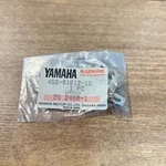 New Yamaha Oem Nos Stator Generator Brush / 4G0-81612-10-00 XJ650 XJ750. Fixed Price $17.00.