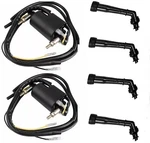 2X Ignition Coil + Spark Plug For Yamaha Fjr 1300 -- 2003-2012. Fixed Price $55.99.