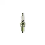 Accel Spark Plug Y2418P;. Fixed Price $59.53.