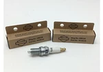Harley Davidson Oem Spark Plugs 10R12A 02- 17 Vrsc V-rod 32335-04 X. Fixed Price $28.49.