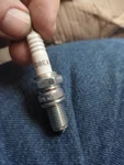 Pair New Genuine Bmw Spark Plug D8EA 12.12.2.343.144 12122343144. Fixed Price $21.00.