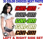Can-am Canam Ryker Spyder Bpr Decals 2 Color 30 Choices. Fixed Price $16.75.
