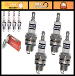 Pack Spark Plugs CJ8Y Compatible With Champion 848 High Performance Engine. Fixed Price $25.99.