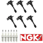 6X Oem Ignition Coil & Ngk Spark Plugs For Nissan Frontier Infiniti. Fixed Price $146.30.
