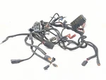 02-06 Harley-davidson Vrod Vrsca Main Wiring Harness 70125-05. Fixed Price $61.66.