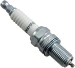 Champion Copper Plus Spark Plug Each #CCH-809. Fixed Price $10.00.