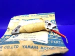 Nos Yamaha 80E 1978 Genuine Source Coil Factory Oem 2J5-85511-20. Fixed Price $26.99.