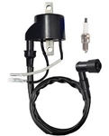 Ignition Coil & Spark Plug For Hyosung GT250R / Comet GT125. Fixed Price $15.99.