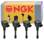 Pc Ngk Ignition Coils For 2008-2019 Nissan Rogue 2.5L L4 Spark Plug Wire Bs. Fixed Price $250.62.